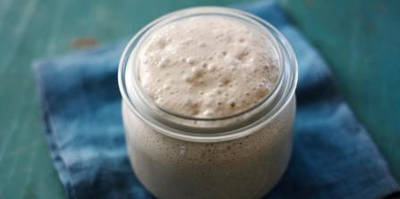 sourdough starter