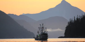 boat to table