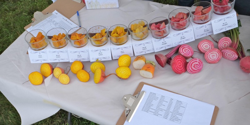 Golden Beet Tasting